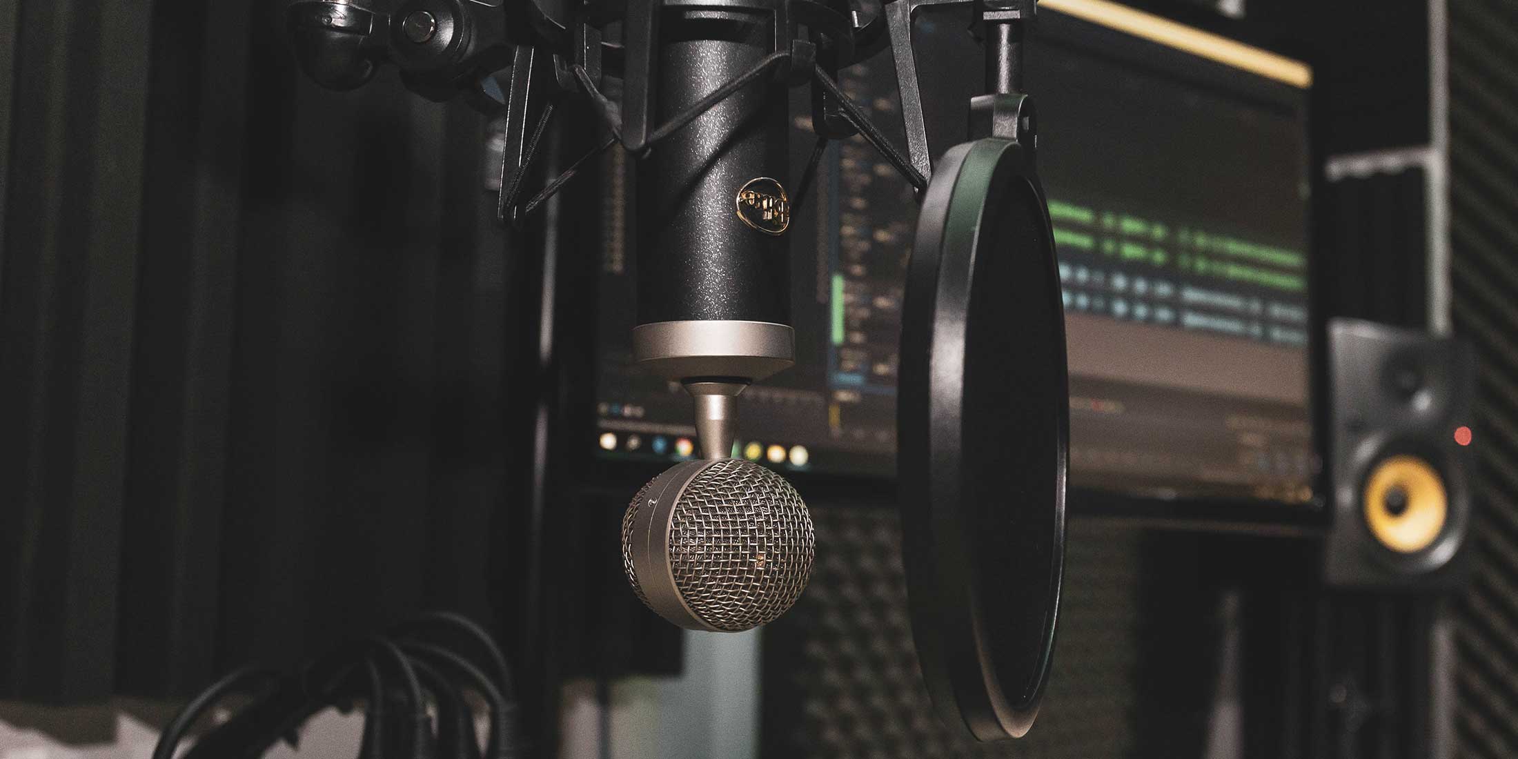 A studio microphone sits in front of a computer screen